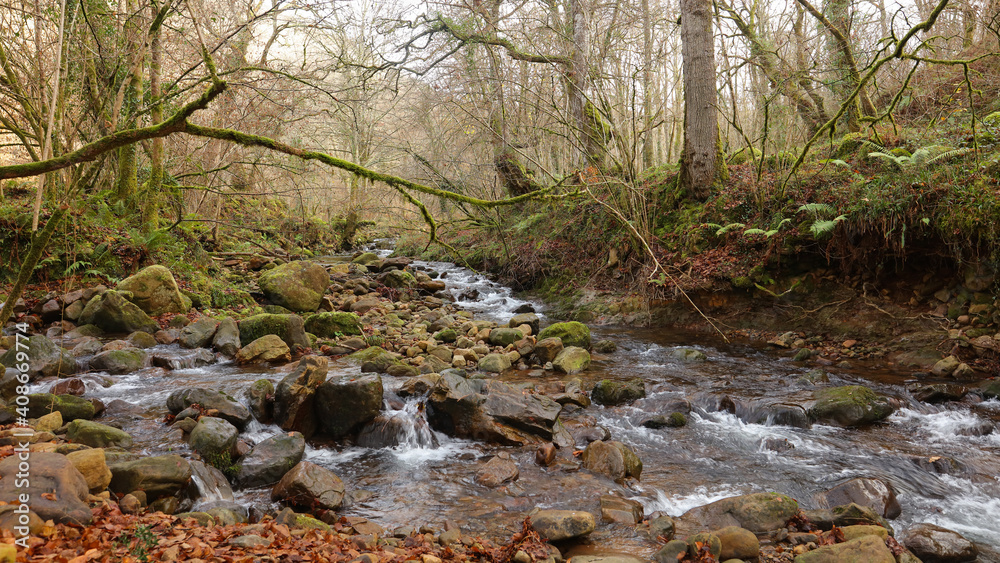 Río Bayones, Parque Natural Saja Besaya, Ucieda. Cantabria, España Río Bayones, Parque Natural Saja Besaya, Ucieda. Cantabria, España
