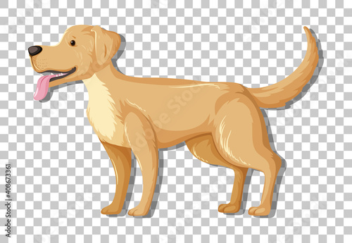 Yellow Labrador Retriever in standing position cartoon character isolated on transparent background