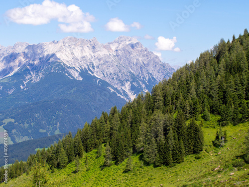 landscape in summer