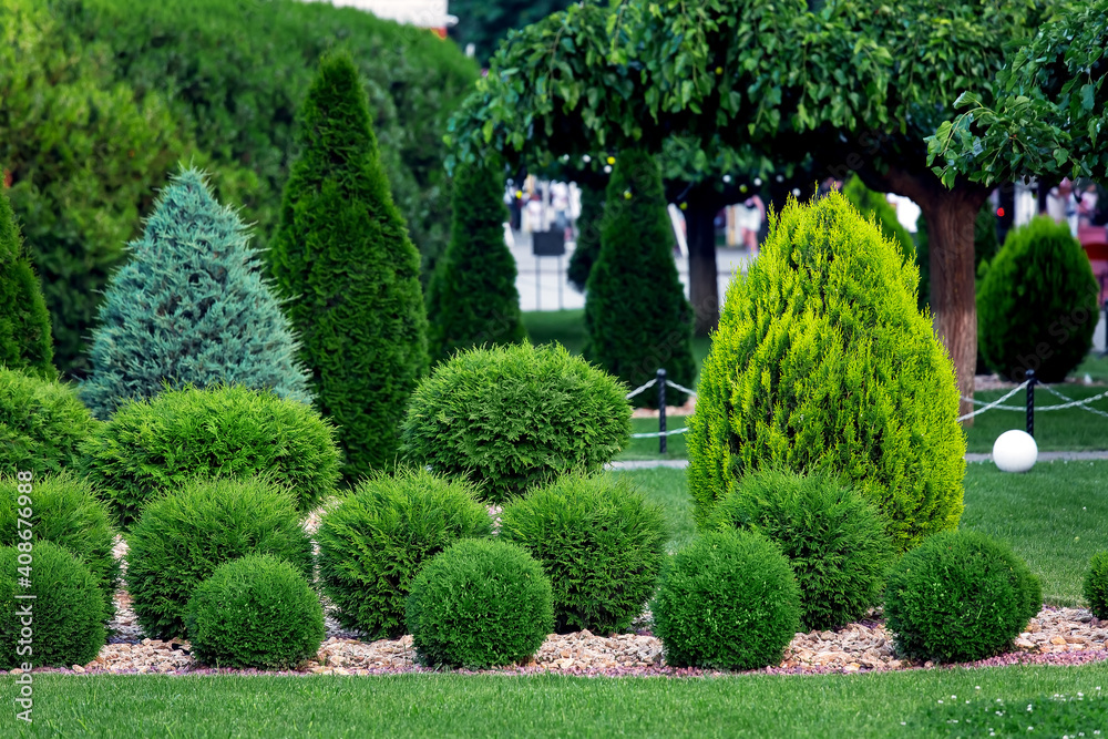Landscape bed of landscaped park growth by row arborvitae bushes by eco rock mulch path on a spring  day yard details with green lawn and trees, nobody.