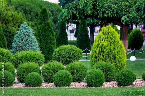 Landscape bed of landscaped park growth by row arborvitae bushes by eco rock mulch path on a spring  day yard details with green lawn and trees, nobody. photo