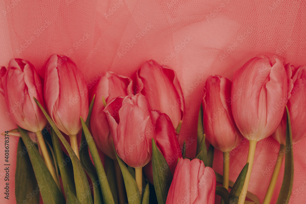 Red tulips on pink tulle. Tulips on pink background. Spring mood. Spring card  - obrazy, fototapety, plakaty 