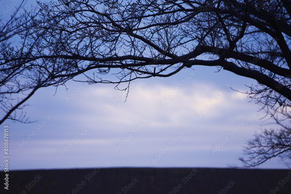 Silhouette image of tree branches in winter. Silhouette image of tree branches in winter.