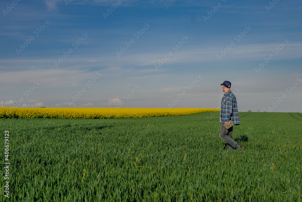 Portrait of Successful Farmer Examining Crops at Agriculture Field. Farmer Looking at Crops Wheat Field