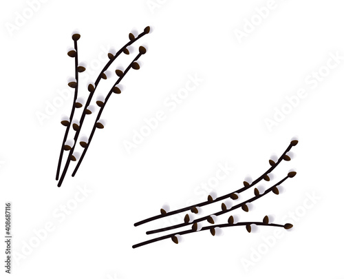  vector image of pussy willow branches bouquets bunches isolated color on white background