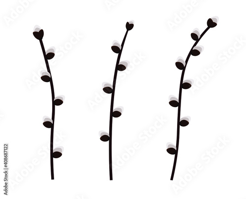 vector image of pussy willow branch isolated color on white background