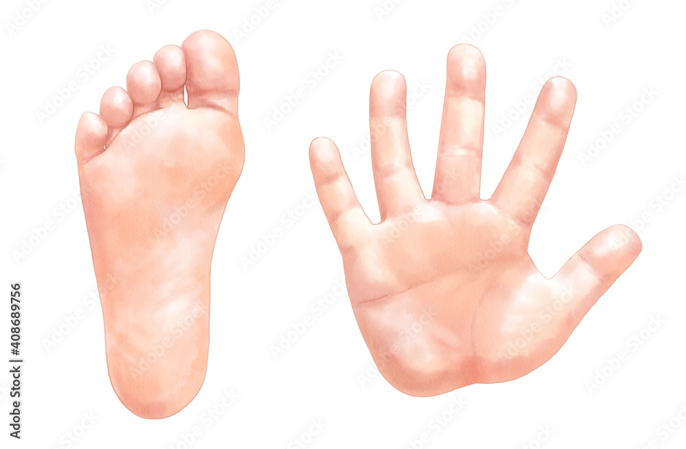 子供の手のひらと足の裏の孤立したイラスト Stock Illustration Adobe Stock