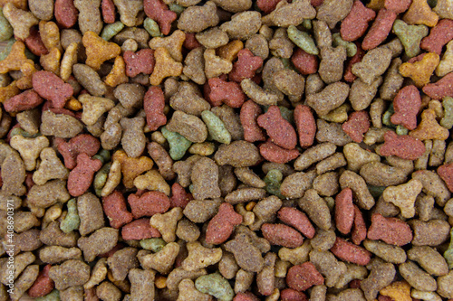 Dry food for cat or dog close-up. Pet food background