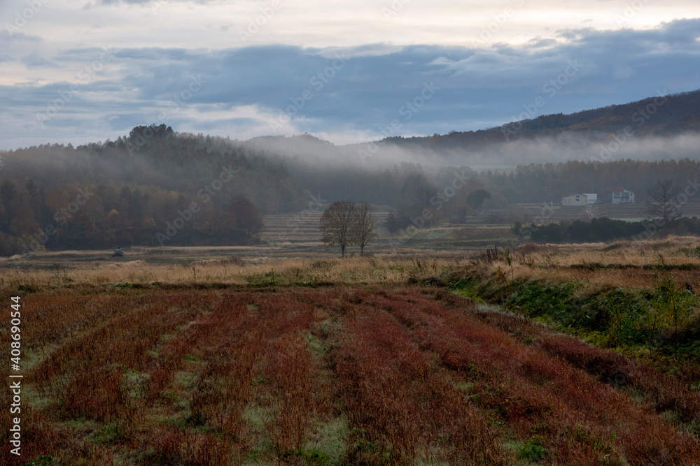 北海道深川市 朝霧が広がる田園と紅葉の風景