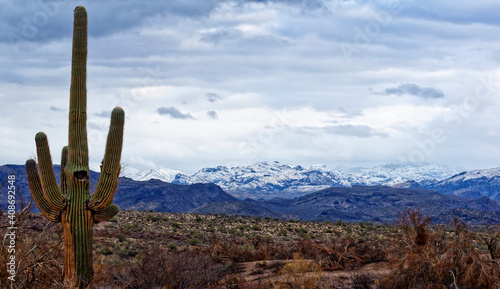 Snowy mountains background in the Desert © Leonard