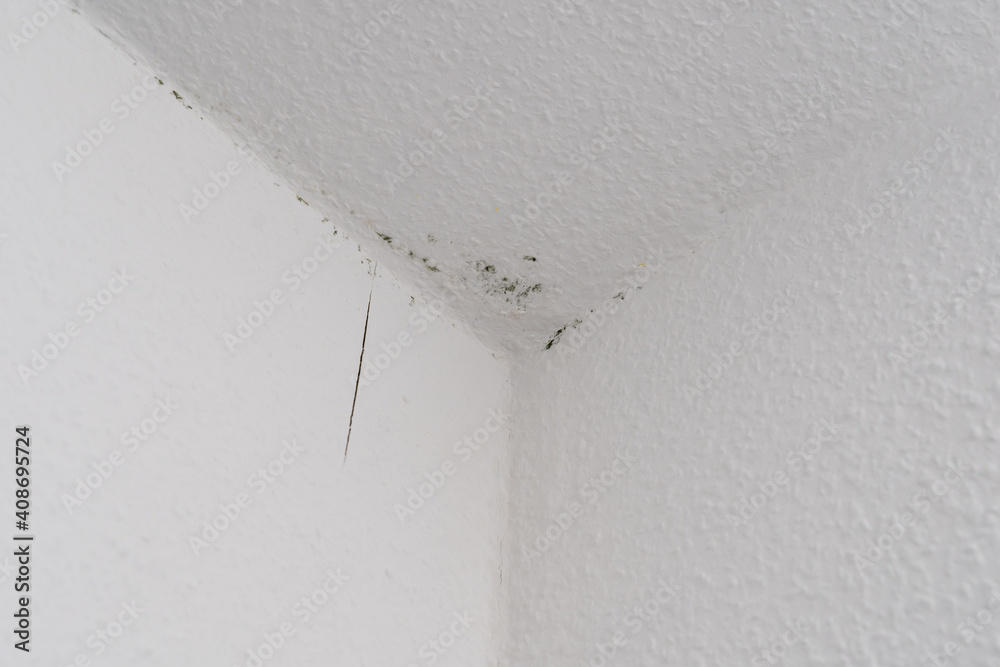 Dark green mould spots on a white ingrain wood chip wallpaper on the  ceiling of a room. A cold and wet outer wall causes mildew. Stock Photo |  Adobe Stock