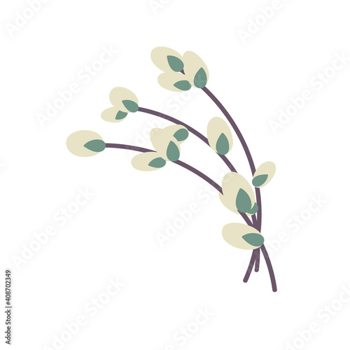  Willow twig isolated on a white background. Easter willow.Flat vector illustration. Design for Easter, packaging