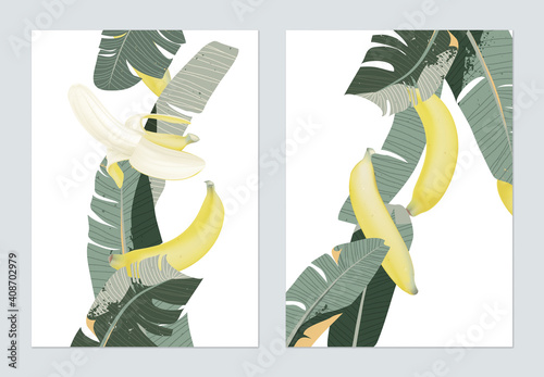 Fruit poster template desig...