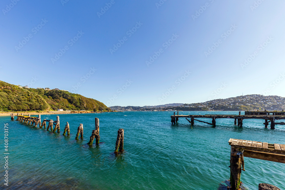 Landscape of Shelly Bay in Wellington, New Zealand