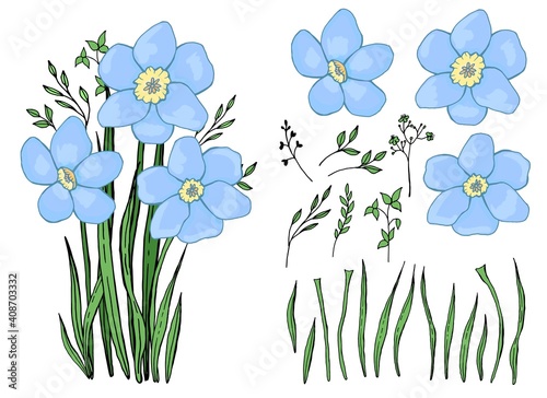 Spring wildflowers. A bouquet of snowdrops. Botanical elements set. Hand drawing. Line  art.