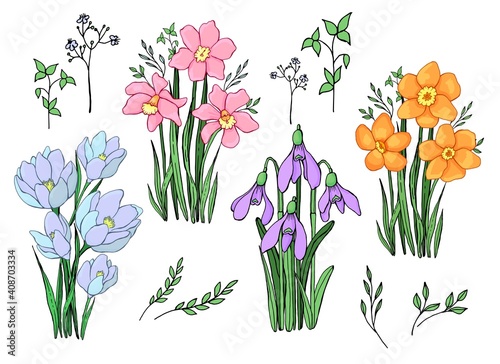Set of bouquets of spring flowers. Line art. Vector graphics. Isolated elements.