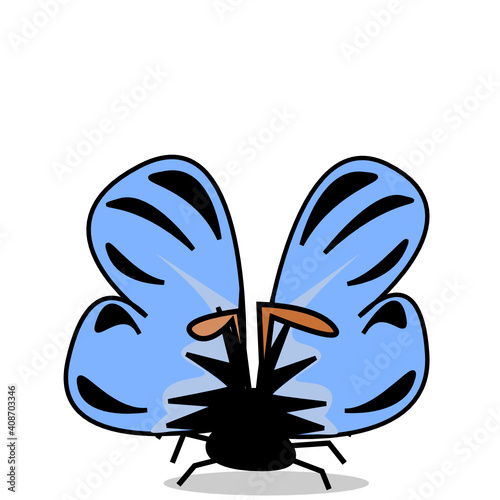 Schmetterling