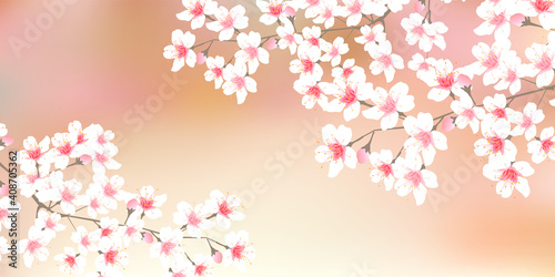 桜　春　花　背景