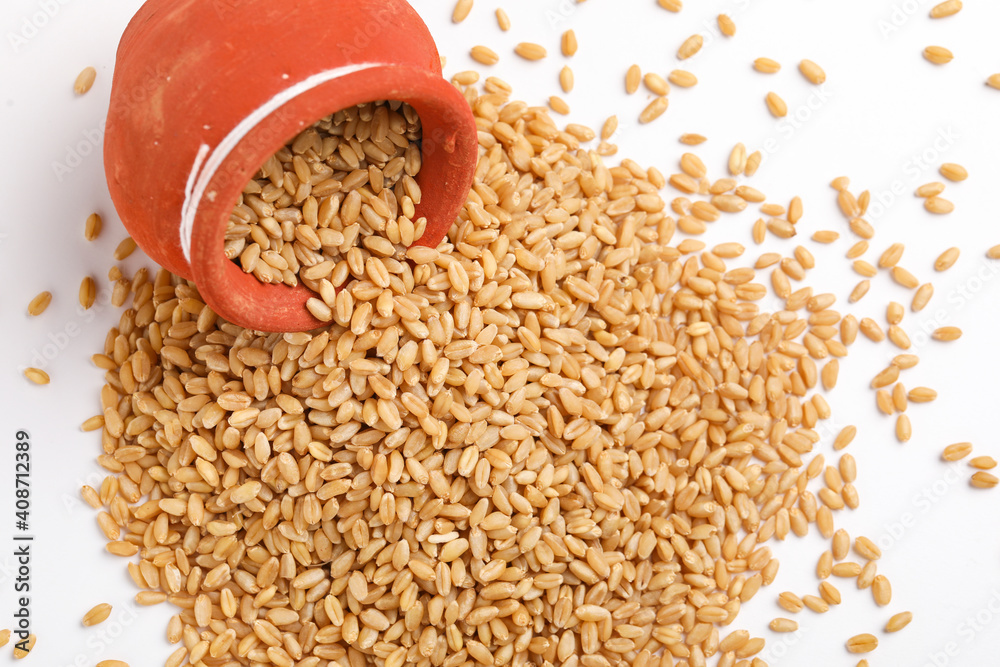 Wheat grains in clay pot on white background Wheat grains in clay pot on white background