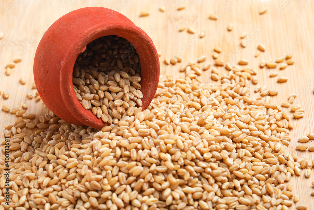 Wheat grains in clay pot on white background Wheat grains in clay pot on white background