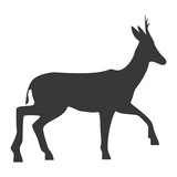 Roe deer silhouette, icon. Vector illustration on a white background.