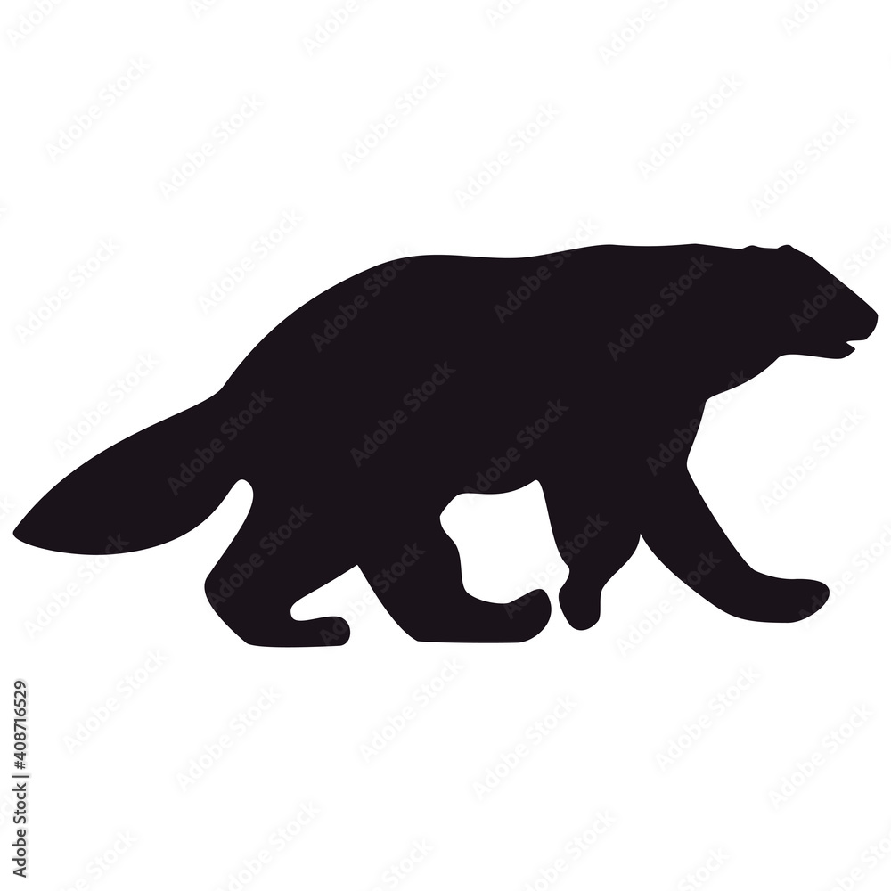 Wolverine silhouette, icon. Vector illustration on a white background. Wolverine silhouette, icon. Vector illustration on a white background.