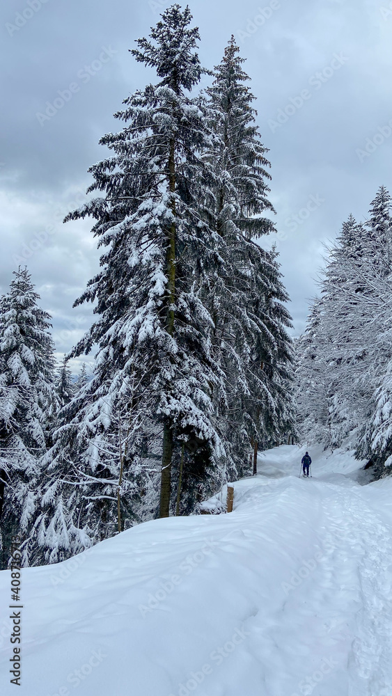 Winter im Schwarzwald Winter im Schwarzwald
