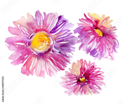  Watercolor bright asters