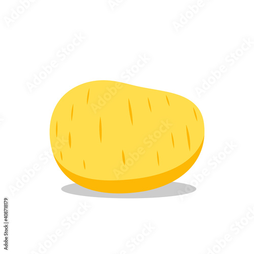 Potato vector. Potato on white background.