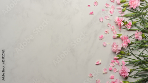 Pink flower decorated on marble desk, flower background