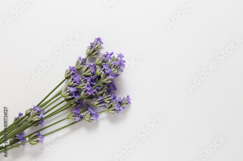 bouquet of lavender on a light background