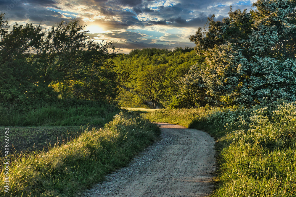 Naklejka premium Typical Footpath On The Island Of Fehmarn At Staberdorf...