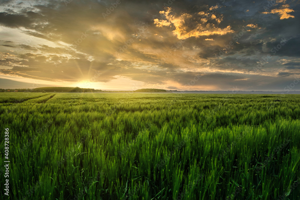 The Landscape Of Fehmarn