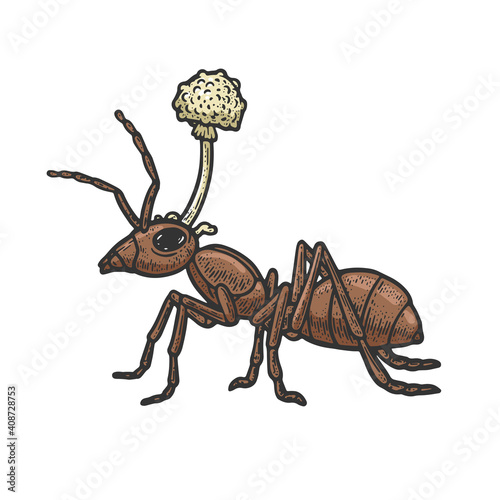 zombie ant mushroom color sketch engraving vector illustration. T-shirt apparel print design. Scratch board imitation. Black and white hand drawn image.