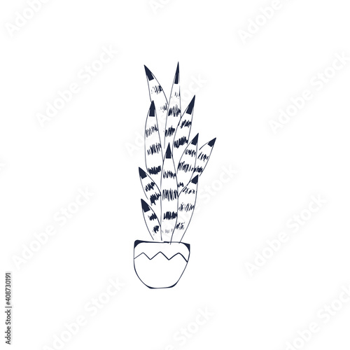 Succulent plant black outline hand drawn isolate on white background. Sketch, doodle succulent in a pot on a white background. Home plant, houseplant, cactus. Vector cactus coloring page illustration