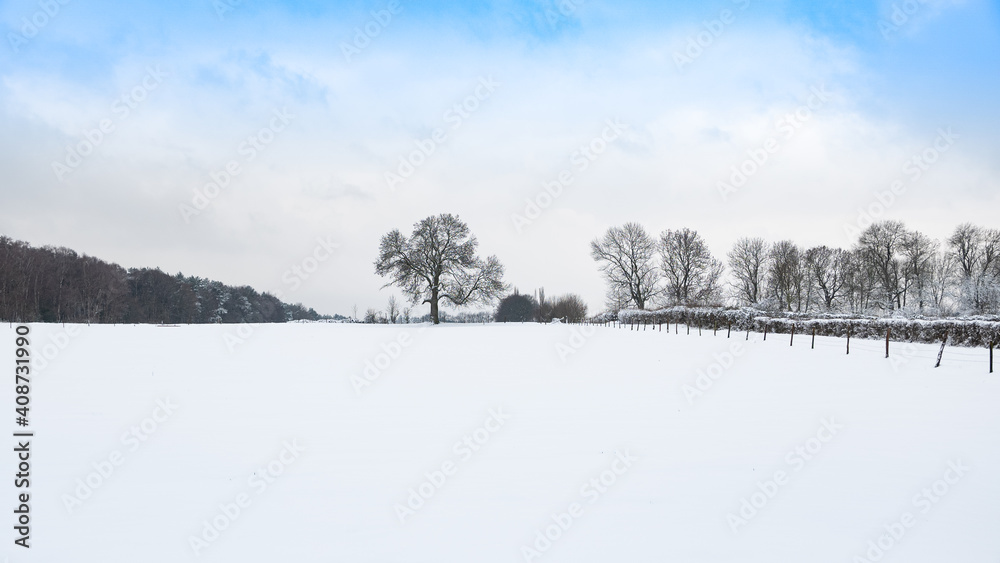 Winterlandschaft mit Bäumen und freiem Feld Winterlandschaft mit Bäumen und freiem Feld