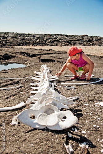 Ecuador, Galapagos Islands, Girl inspecting animal skeleton on beach photo