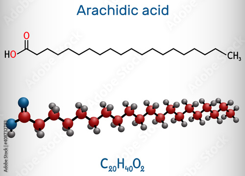 Arachidic acid, eicosanoic, icosanoic acid molecule. It is saturated long-chain fatty acid. Structural chemical formula and molecule model