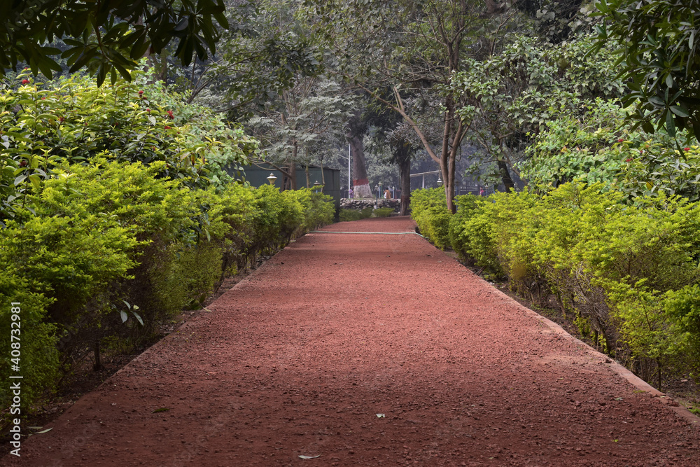 beautiful view of path with trees background in a park