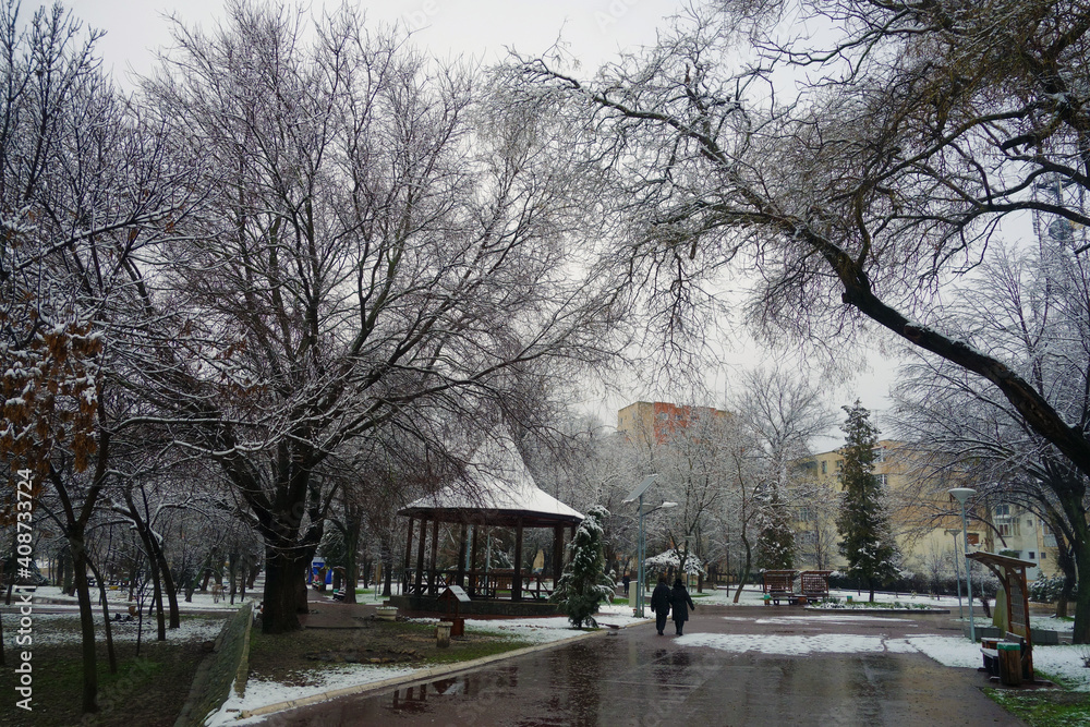 Elderly couple in winter in the park respecting the rules of the pandemic Elderly couple in winter in the park respecting the rules of the pandemic