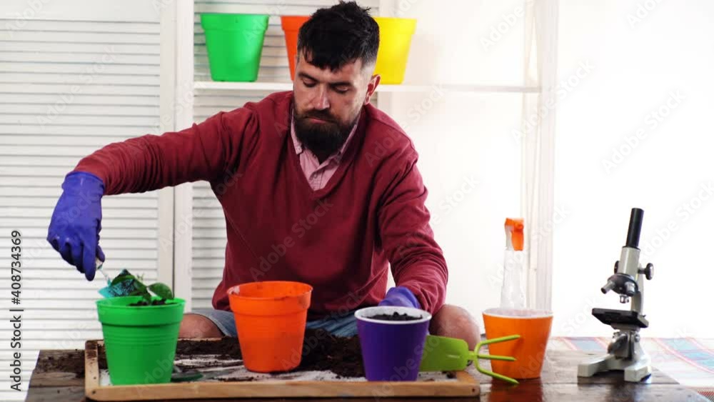Spring gardening. Man replanting plant. Planting concept. Spring gardening. Man replanting plant. Planting concept.