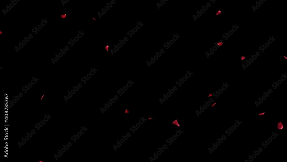 Red Rose Petal Falling with Alpha Channel. 3D rendering. Falling start to end place on footage or background easy to change color. Red Rose Petal Falling with Alpha Channel. 3D rendering. Falling start to end place on footage or background easy to change color.