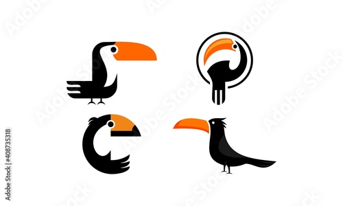set toucan bird vector package