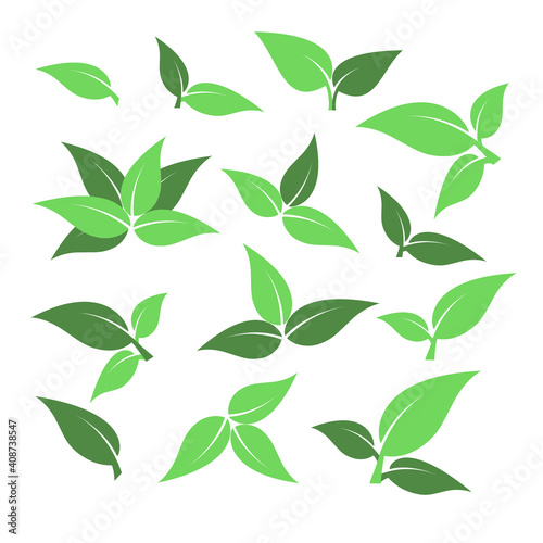 Set of green leaf icons. Leaves on white background. Ecology logo. Vector illustration.