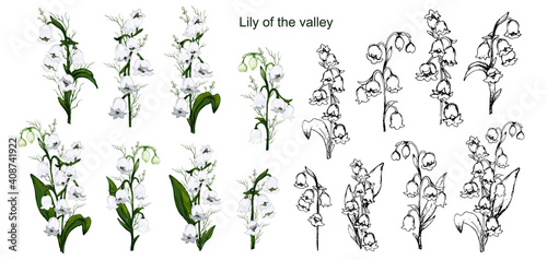 hand-drawn set with lily of the valley flowers, primroses. realistic bouquets isolated on a white background. Botanical elements for postcards, decor, cards,  paper. vintage style.