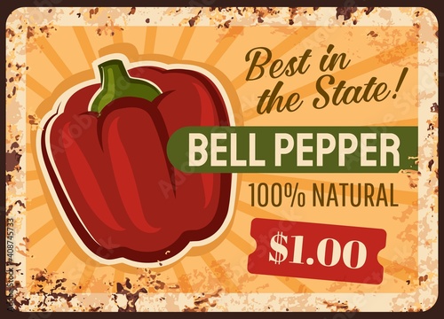 Bell pepper farm rusty metal vector plate. Sweet bell pepper red fruit. Natural food, vegetables organic seeds shop or grocery store banner, vegetable farm price sign, grungy plate with rust texture