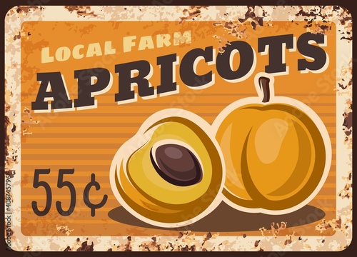 Apricots fruits metal plate rusty fruits food and farm market price, vector retro poster. Apricot fruits, agriculture food market and store price sign or rust plate