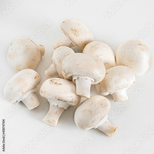 White Champignon mushrooms is a small edible mushroom with a light brown lid that grows in short grass, used for cooking. Isolated on white background.