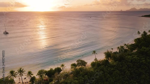 Beach in Caribbean island at sunset, 4k aerial video footage from drone of tropical coastline with sand and coconut palm trees. Summer holidays vacation destination