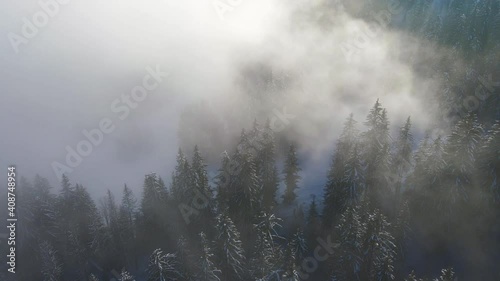 Foggy forest viewed from above, 4k aerial video footage from drone of fog in fir trees on a mountain in winter, cold weather and snow, mysterious mood